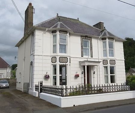 Glasfryn Guest House Llanybyther Extérieur photo